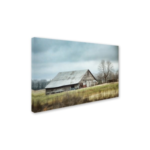 Jai Johnson 'An Old Gray Barn' Canvas Art,16x24